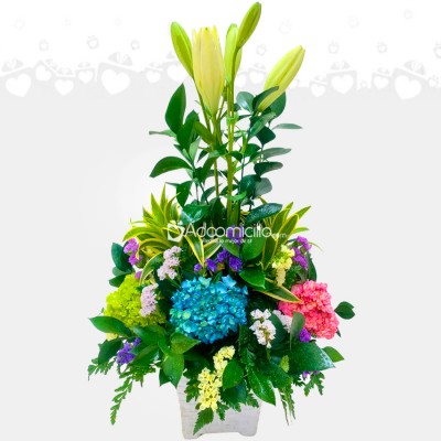 Arreglo Floral Con Lirios A Domicilio En Cali Pedido Con Dos Días De Anticipación 