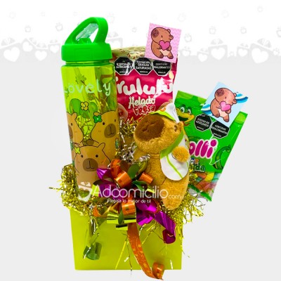 Ancheta Con Termo Temática De Capibara A Domicilio En Cali Pedido Con Un Día De Anticipación 