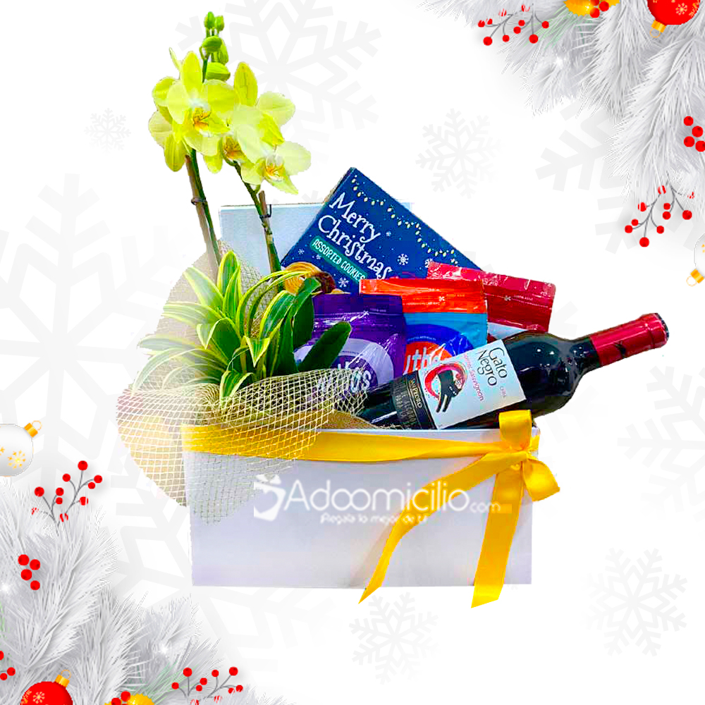 Ancheta Navideña Con Orquidea A Domicilio En Medellín Pedido Con Un Día De Anticipación 