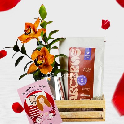 Regalo Con Orquídea Para San Valentín A Domicilio En Medellín 