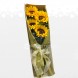 Encantó De Girasol Arreglos Florales A Domicilio En Bucaramanga